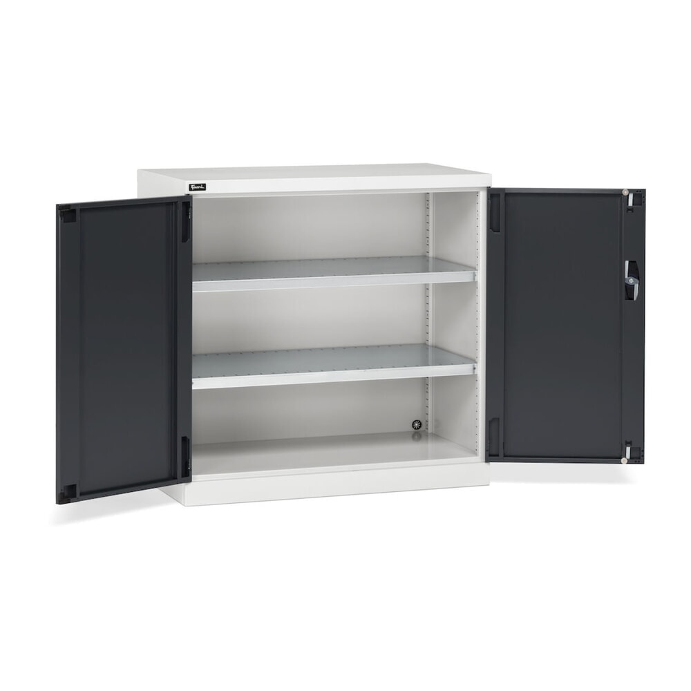 Número de imagen del producto 3: Armario Fami PERFOM con puertas batientes, 2 baldas, 1.000 x 1.023 x 555 mm (alto x ancho x fondo), gris claro, antracita