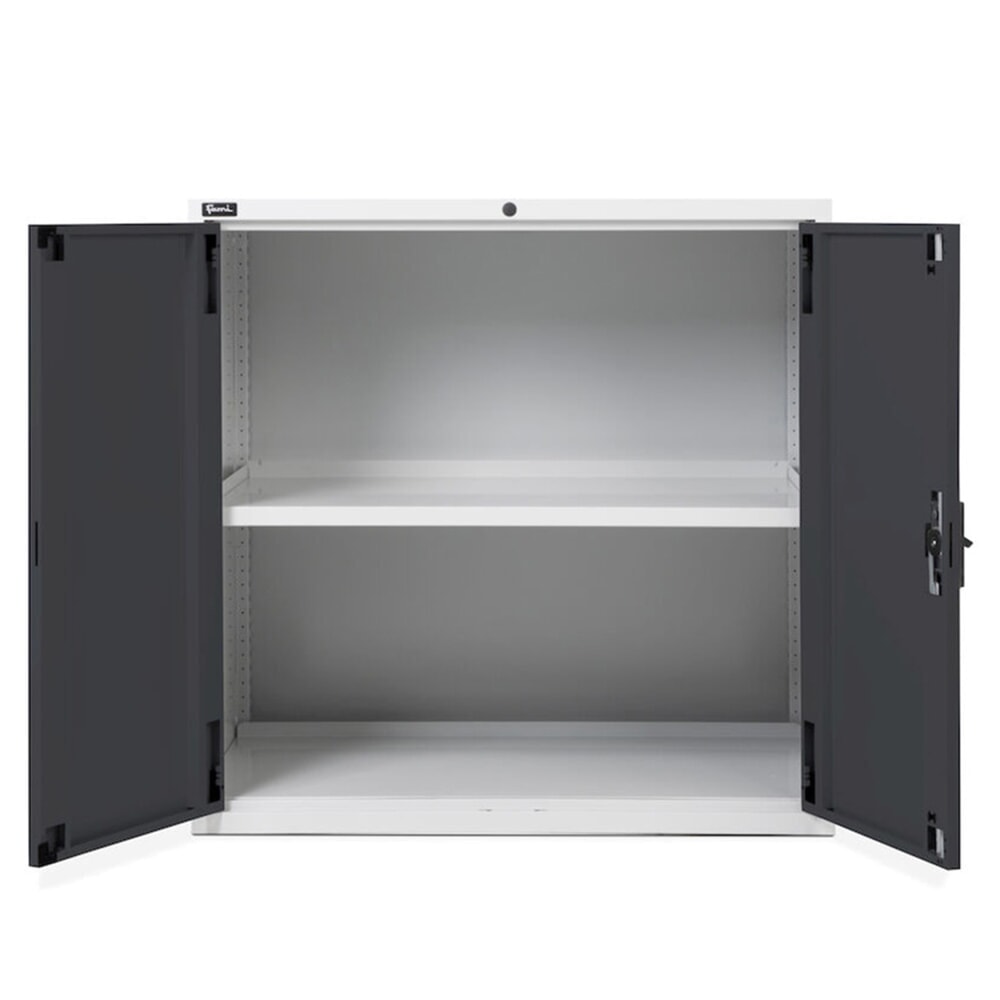 Número de imagen del producto 2: Armario Fami MASTER con puertas batientes, 1.000 x 1.020 x 726 mm (alto x ancho x fondo), gris claro, antracita
