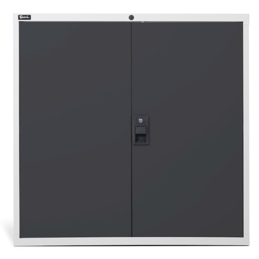 Número de imagen del producto 3: Armario Fami MASTER con puertas batientes, 1.000 x 1.020 x 726 mm (alto x ancho x fondo), gris claro, antracita