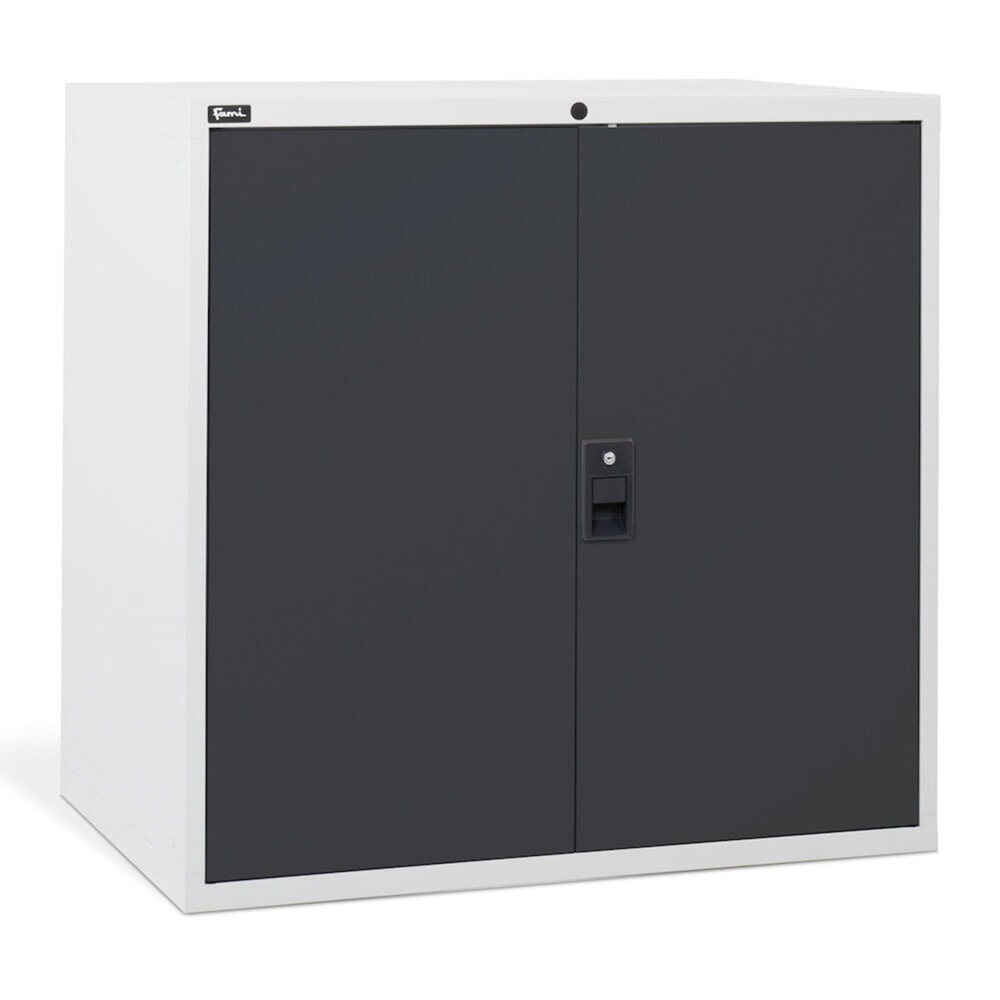 Número de imagen del producto 4: Armario Fami MASTER con puertas batientes, 1.000 x 1.020 x 726 mm (alto x ancho x fondo), gris claro, antracita