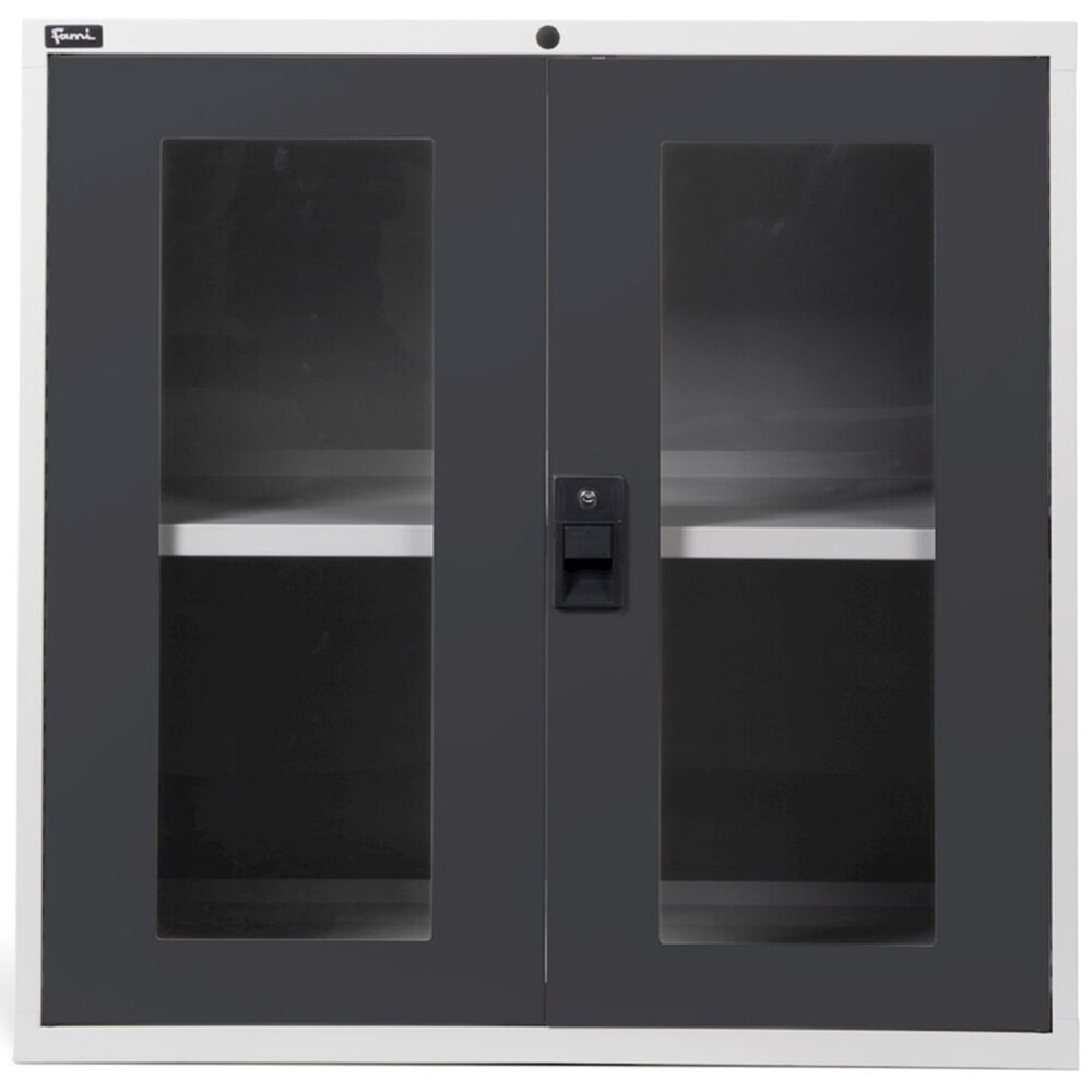Número de imagen del producto 3: Armario Fami MASTER con puertas batientes de policarbonato, 1.000 x 1.020 x 726 mm (alto x ancho x fondo), gris claro, antracita