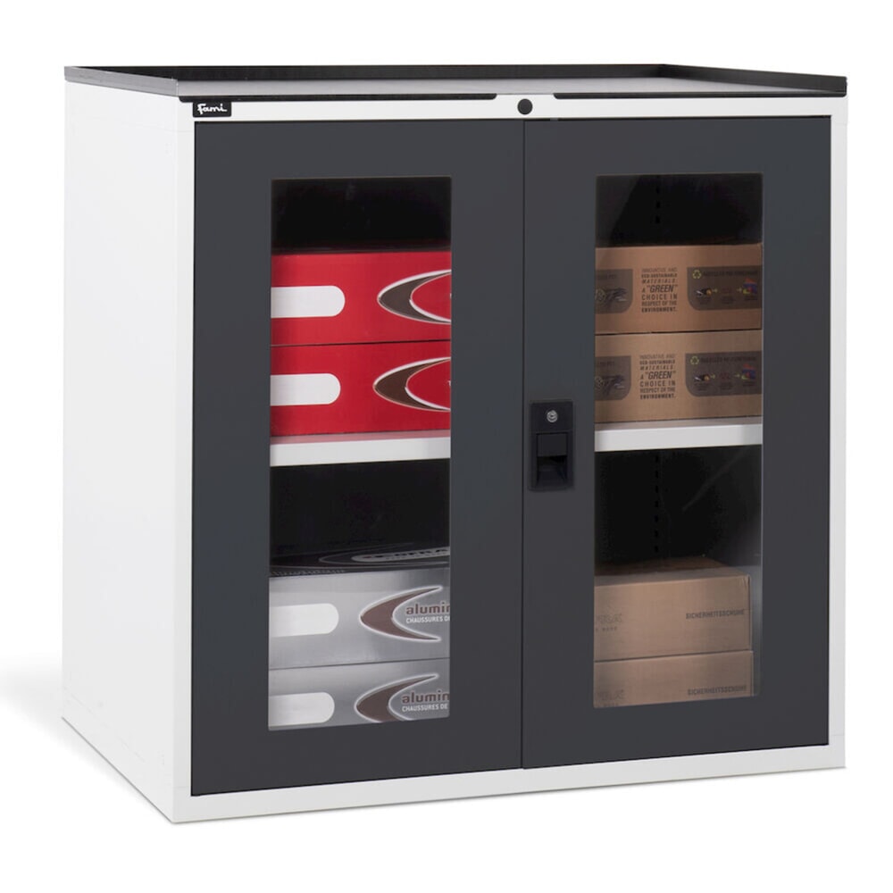 Número de imagen del producto 6: Armario Fami MASTER con puertas batientes de policarbonato, 1.000 x 1.020 x 726 mm (alto x ancho x fondo), gris claro, antracita