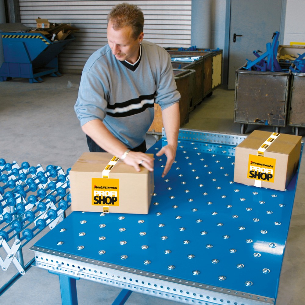Número de imagen del producto 2: Mesa de rodillos de bolas, Ø 22 mm, L x An 500 x 600 mm, paso 100 mm