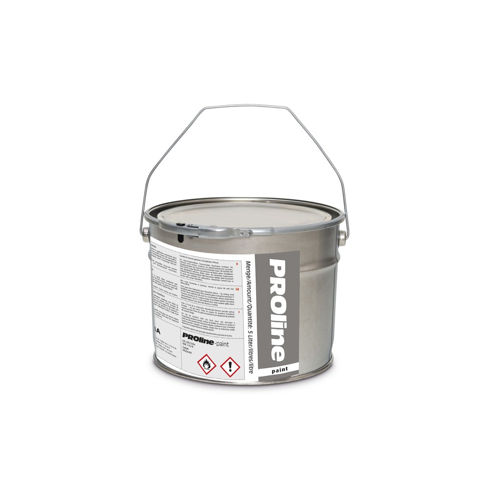 Imagen del producto: Pintura para marcas de exterior PROline-paint, RAL 7043, gris tráfico B