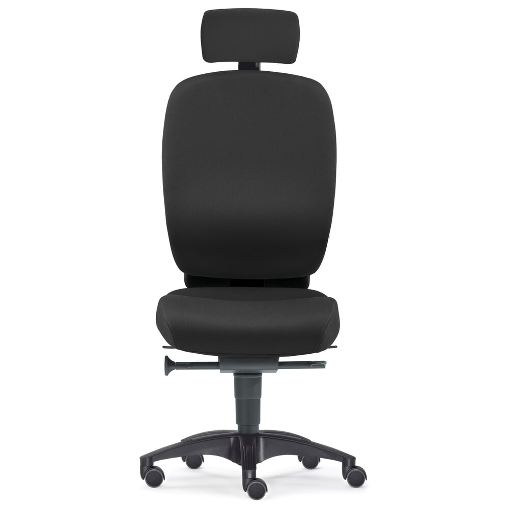 Imagen del producto: Silla giratoria de oficina PROFI, asiento de disco intervertebral, talla L, negro